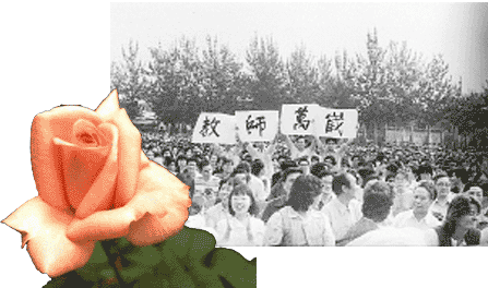 1985ꡤʦ󡤵һνʦ